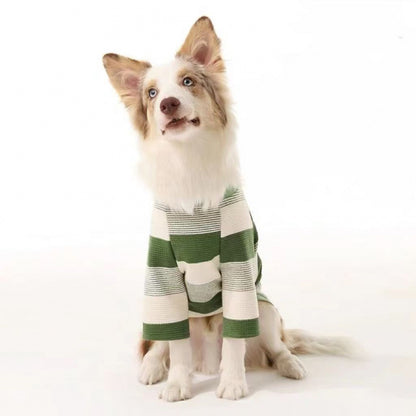 surgical recovery suit for dogs